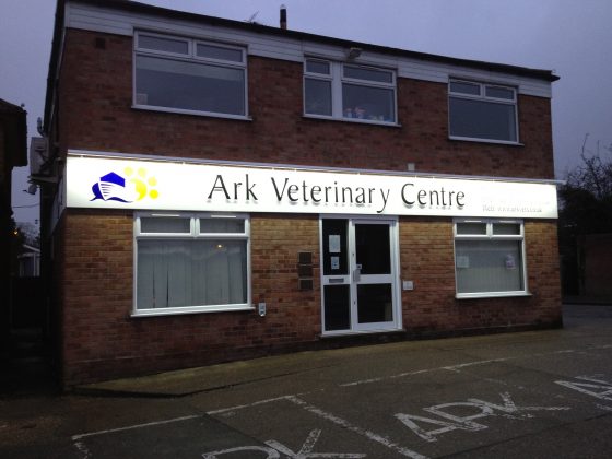 How to Design an Illuminated Sign That Looks Great Day and Night
